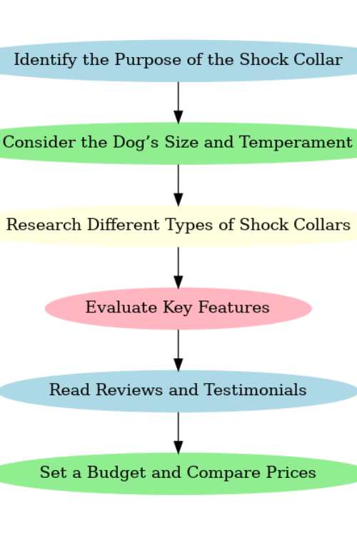 Best bark collar for large dogs.