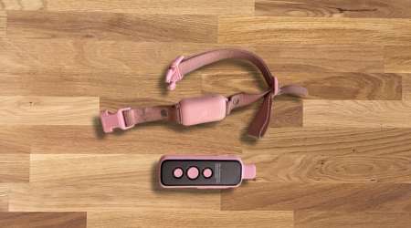 Best for Multi-Dog Training