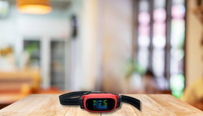 Best for Multiple Training Modes collar