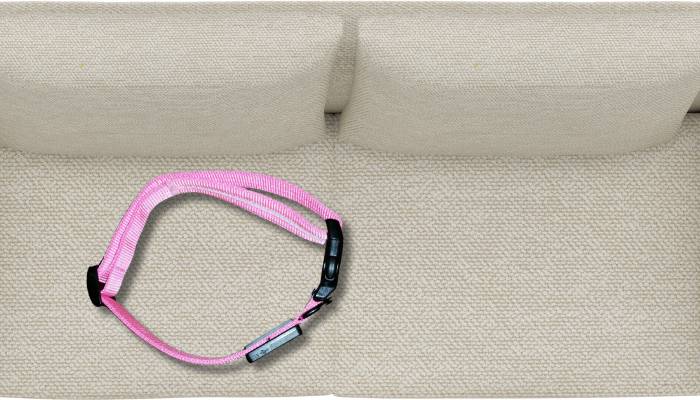 Best dog collar for Night Visibility