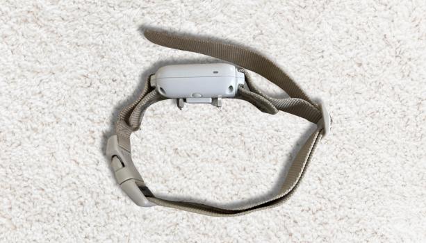 The E Collar For Dogs 0f 2025 Bousnic 8-120 Lbs