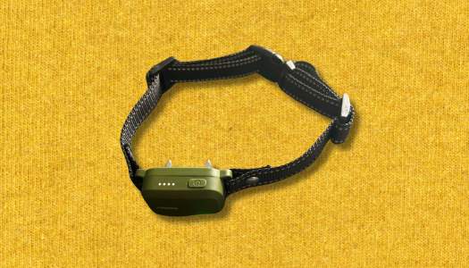 The E Collar For Dogs 0f 2025 Jugbow DT-61