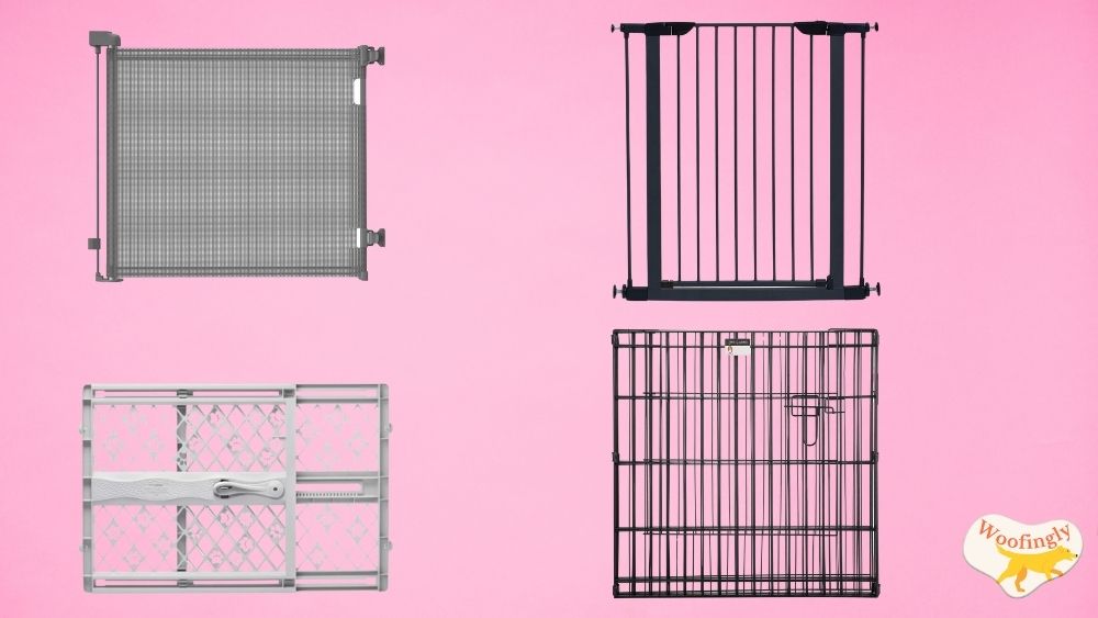 The 5 Best Dog Gates – Winter 2025