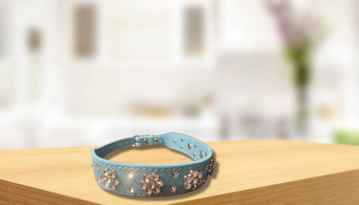 Best for Comfort Dog Collar