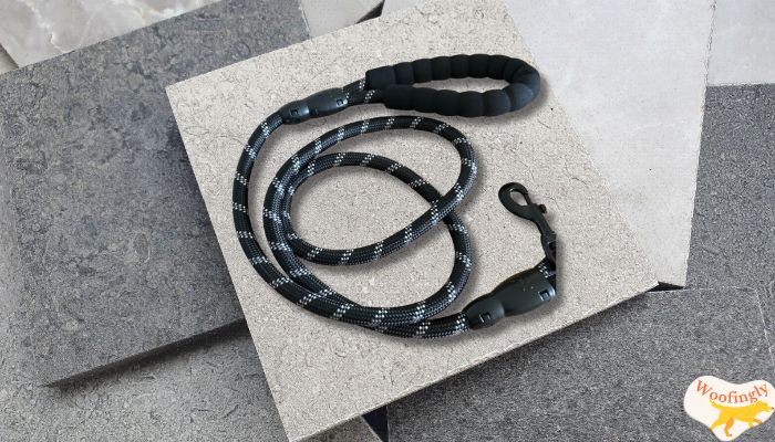 Best for Durability Dog Leash