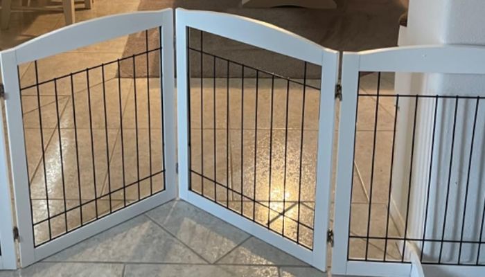 Best for Free-Standing Design Dog door