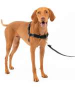 PetSafe EWH-HC-M-BLK