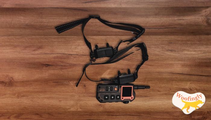 Aolulf AI Dog Shock Collar 2 Dogs Review