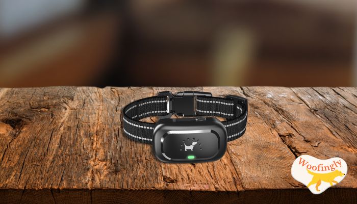 Pedono Rechargeable Dog Shock Collar