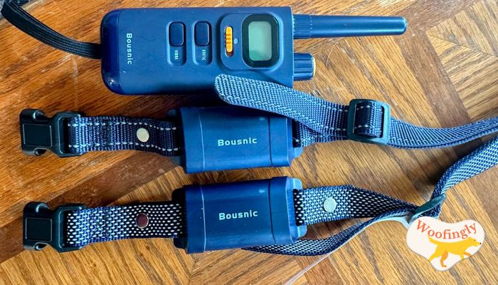 Bousnic P Collar 670 Review