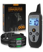 2025 Dog Training Collar