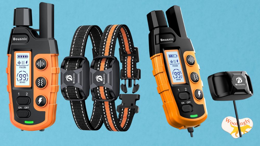 Bousnic Shock Collar Dogs 5-120Lbs Review
