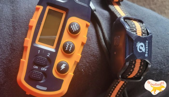 Bousnic RS2 Rechargeable Dog Shock Collar Review