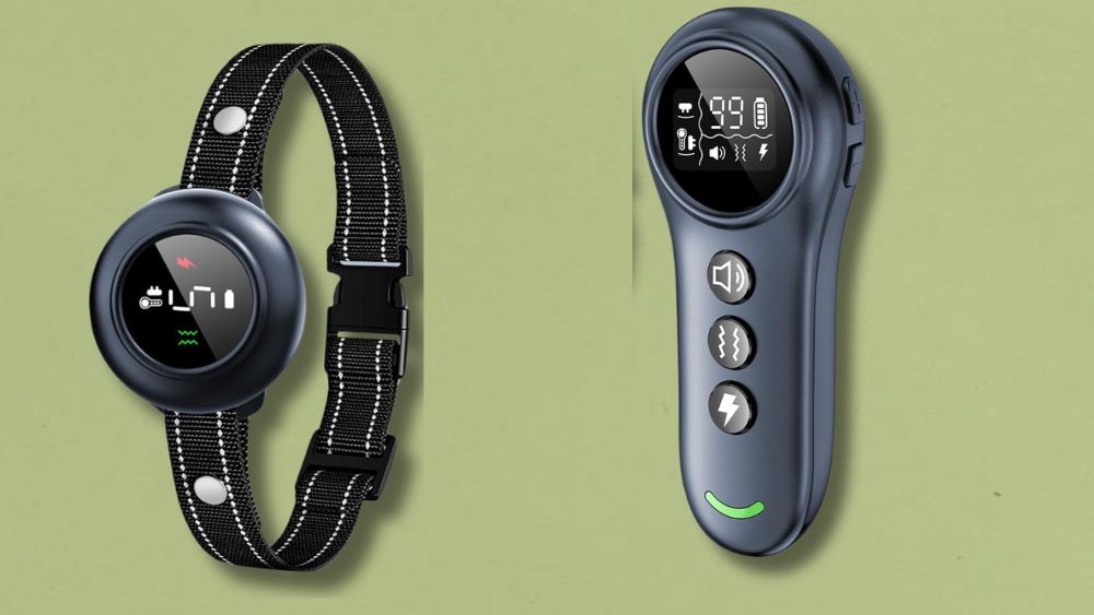 Colofrog 2-in-1 Waterproof Dog E-Collar Review