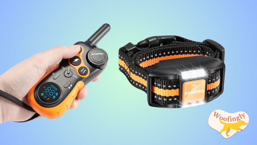 PAWPRO Waterproof Dog Shock Collar Review