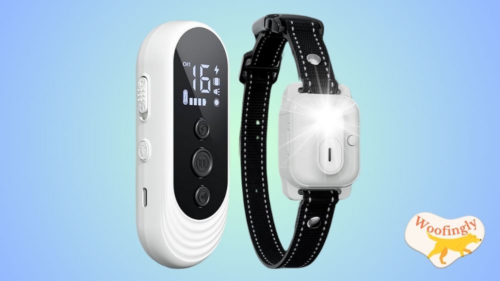 CIUZL DOG Shock Collar Review