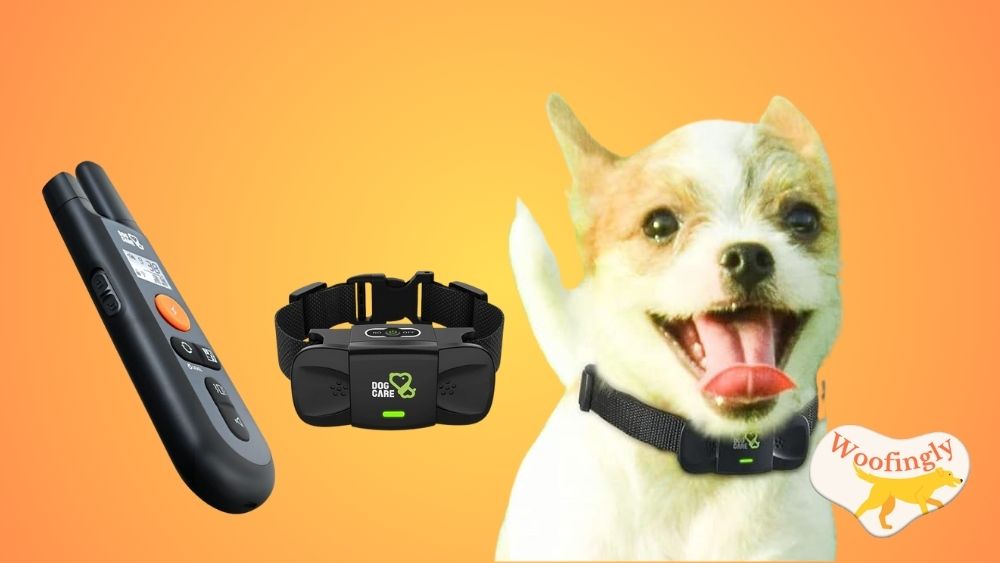 Dog CARE Dog Training Collar Model TC01 Review
