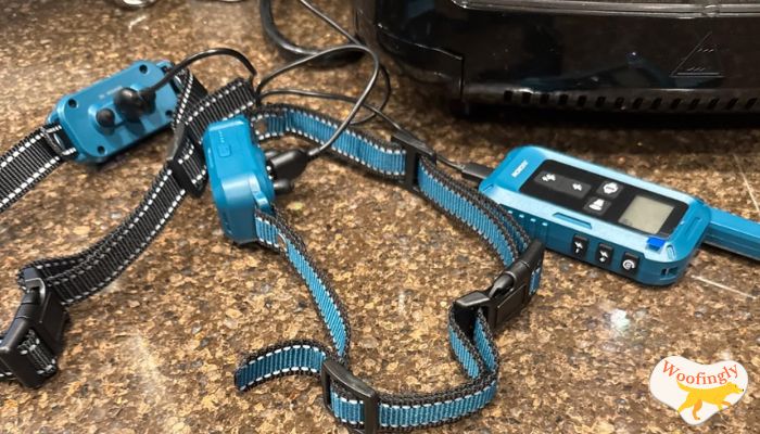 Jugbow Dog Shock Collar DT-682 Review