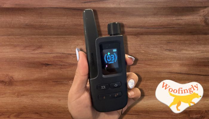 Jugbow Rechargeable Dog Shock Collar Review