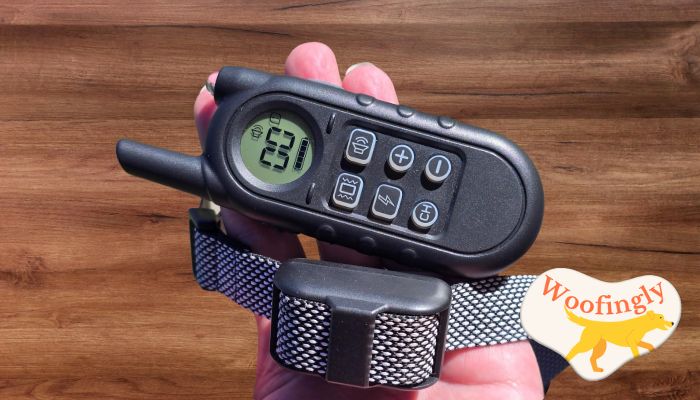 UbaNinva Tiniest Dog Training Collar Review