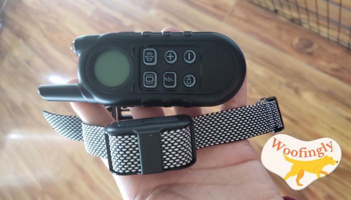 Tiniest Dog Shock Collar