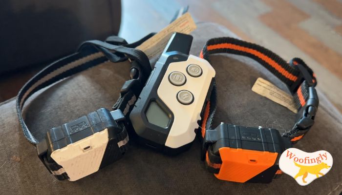 PIOUNS PD01 Dog Training Collar