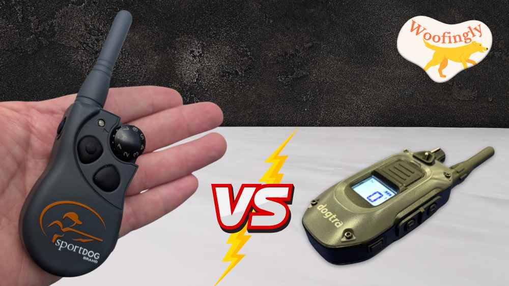 Dogtra Vs SportDOG Which One Should You Choose?