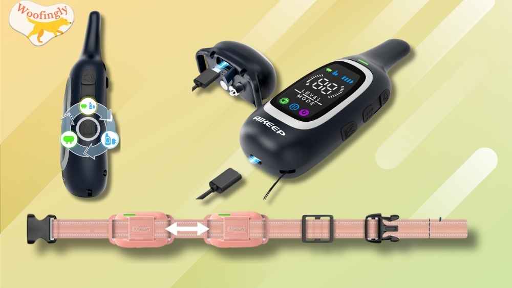 Ease of Use and Setup of Dog Shock Collar vs  Dog E-Collar 
