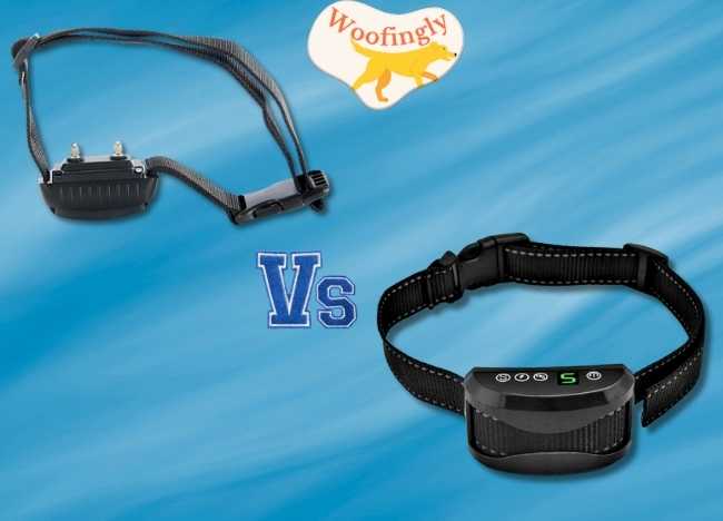 Remote Collar vs Shock Collar