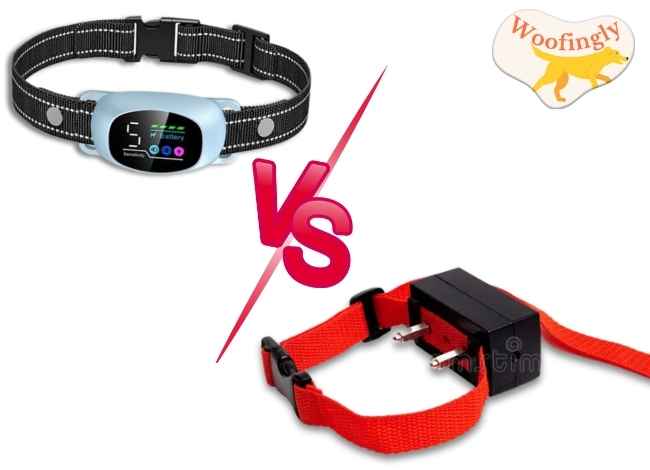 Static vs Shock Collar