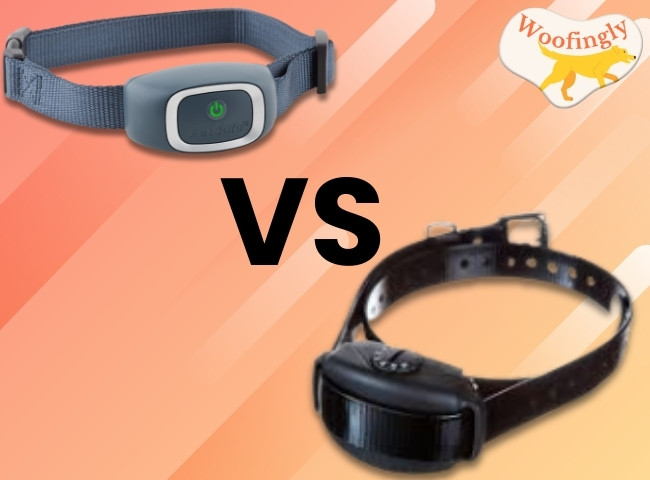 Static Correction vs Shock Collar