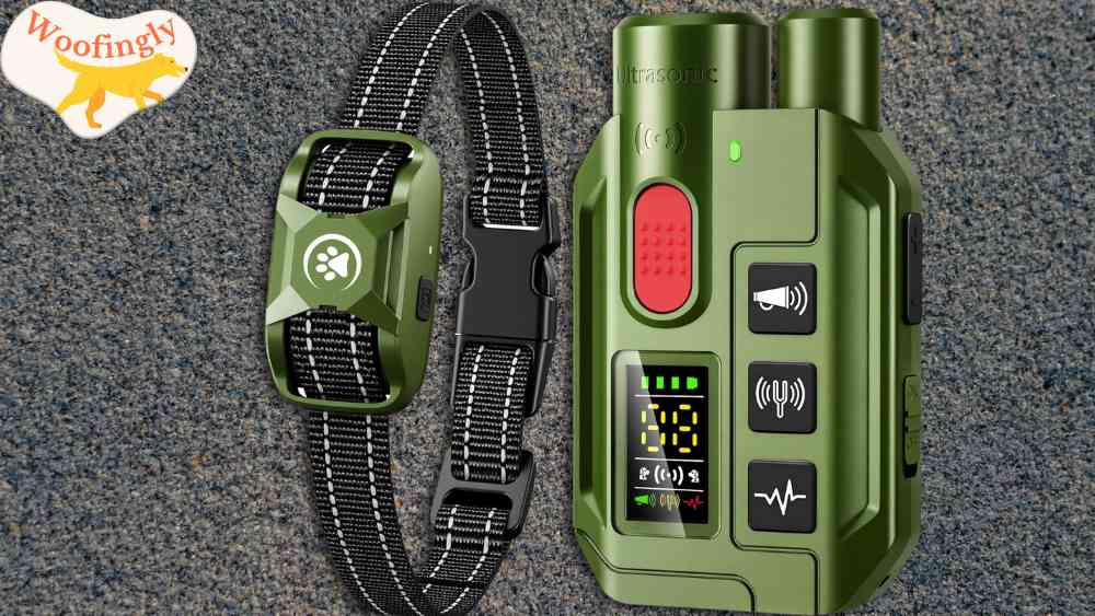 Dog Shock Collar with Remote – 3300ft Range Review
