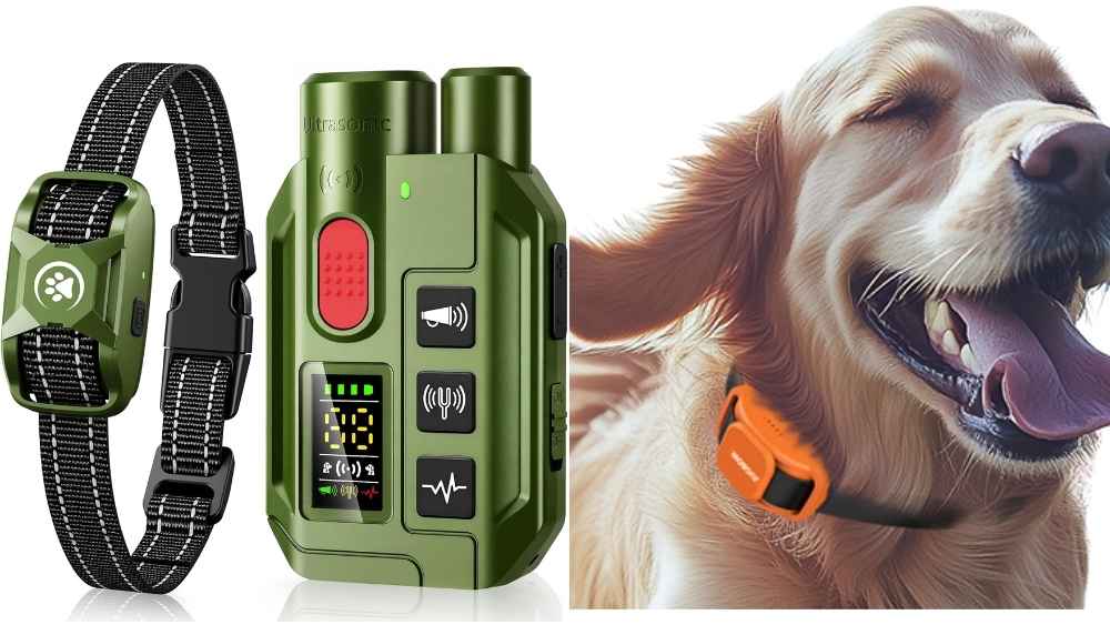 Shock Collar vs E-Collar Review