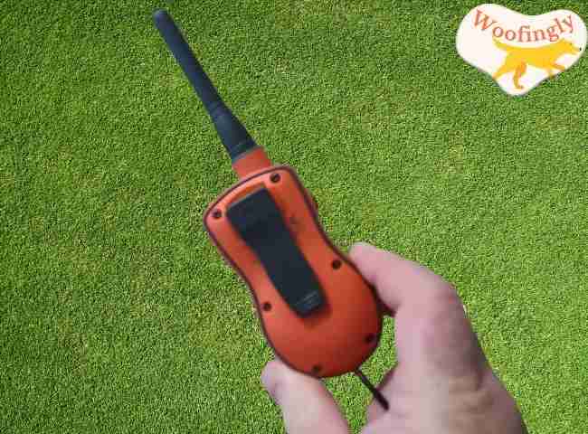 SportDOG SportTrainer 