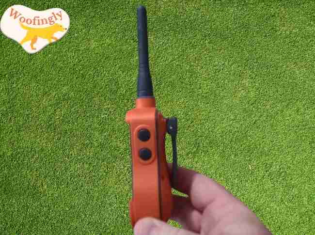 SportDOG Waterproof Dog Training Collar 