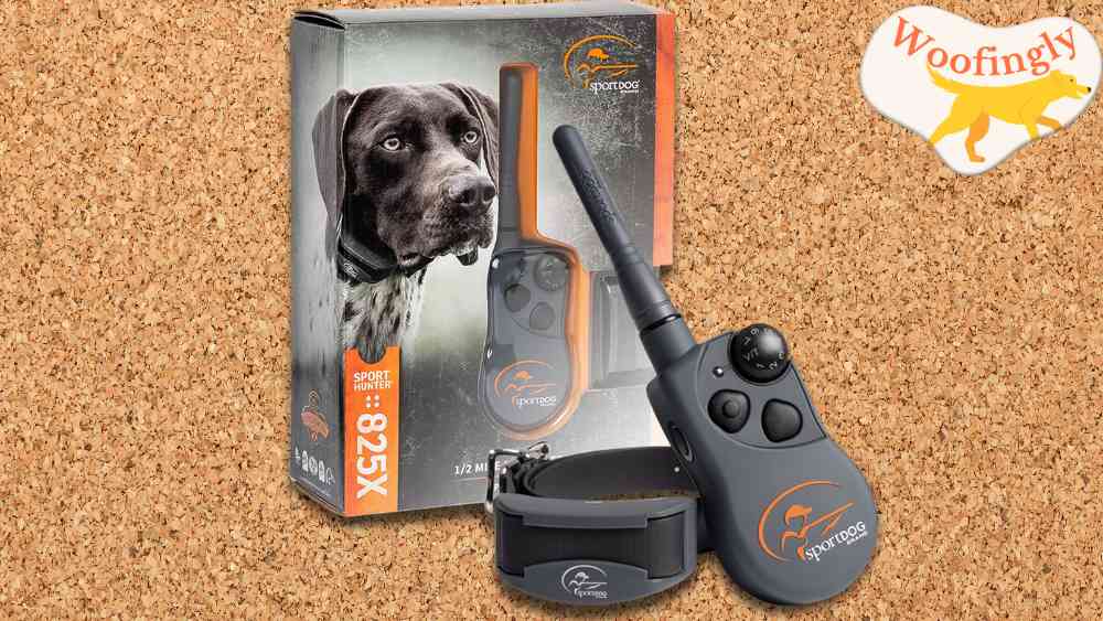 SportDOG 825X Remote Training E-Collar