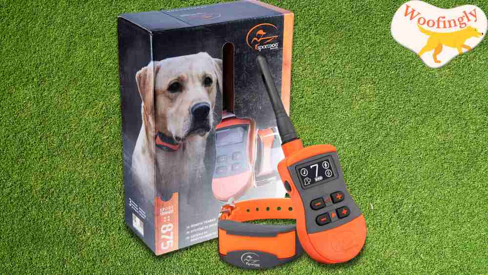 Sportdog 875 Remote Trainer Waterproof Dog Collar