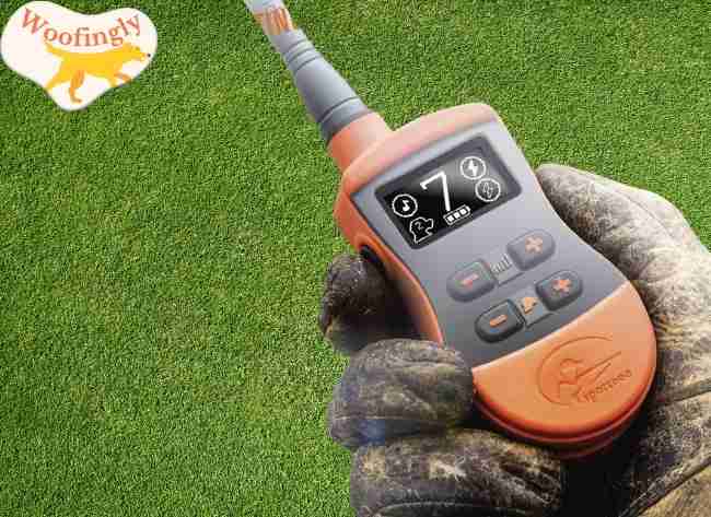 Sportdog 875 remote 