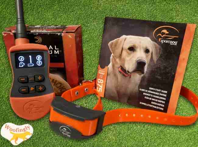 Sportdog-875 remote instructions