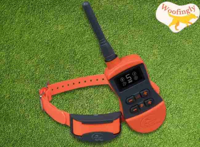 Sportdog brand sporttrainer 875 remote trainer 