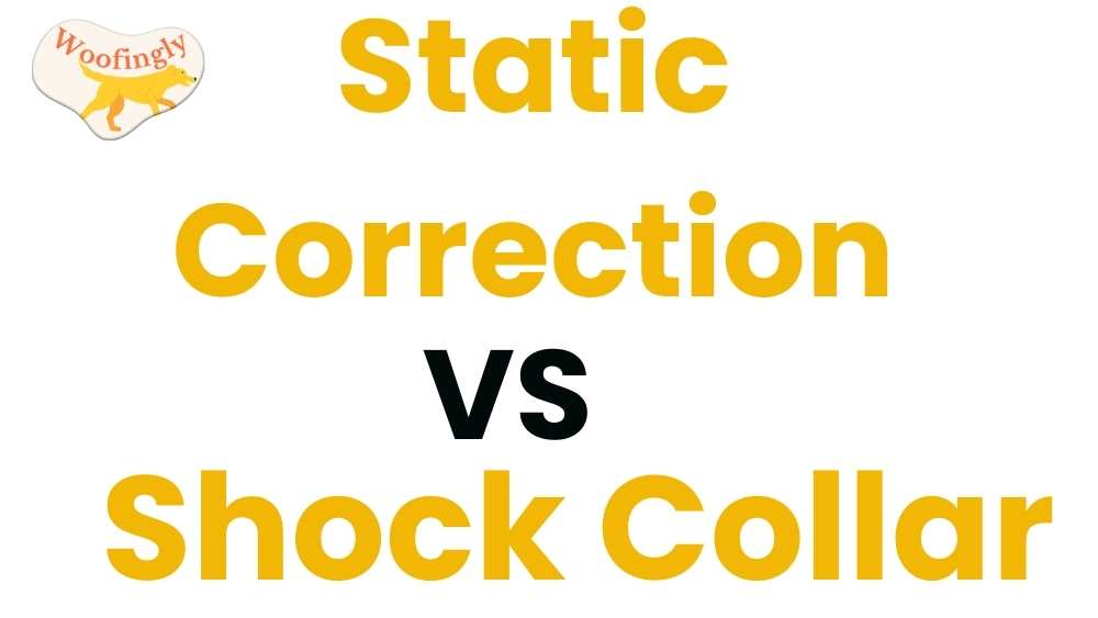 Static Correction vs Shock Collar: Which Training Method is Best for Your Dog?
