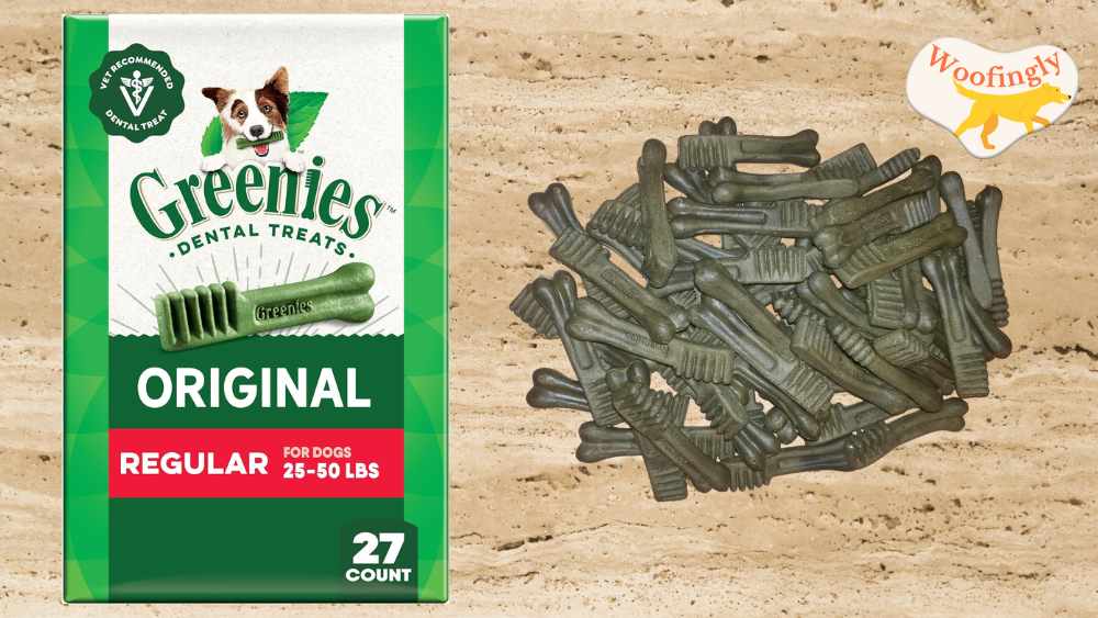 Greenies Regular Size Dental Dog Treats Review (Tasted)